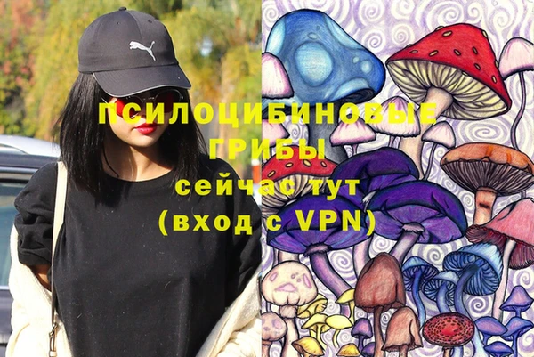 2c-b Пестово