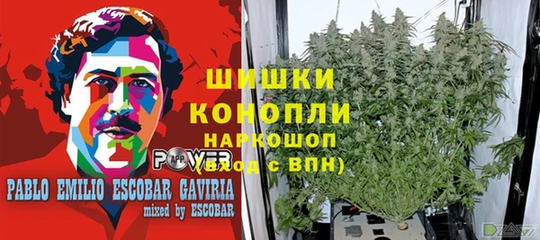 2c-b Пестово