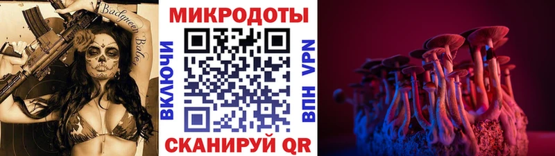 Псилоцибиновые грибы GOLDEN TEACHER  дарнет шоп  ОМГ ОМГ вход  Туран 